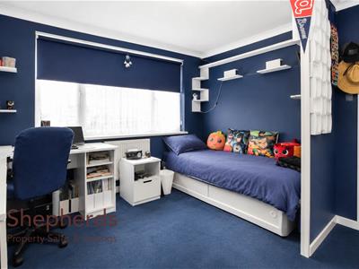 Picture 12